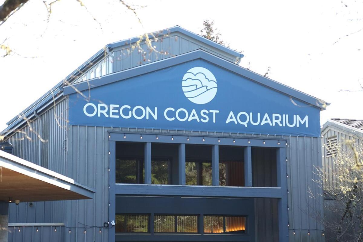 Little Creek Cove Beach Resort Newport Exterior photo